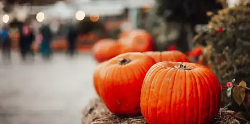 Clearfield CRC Fall Festival