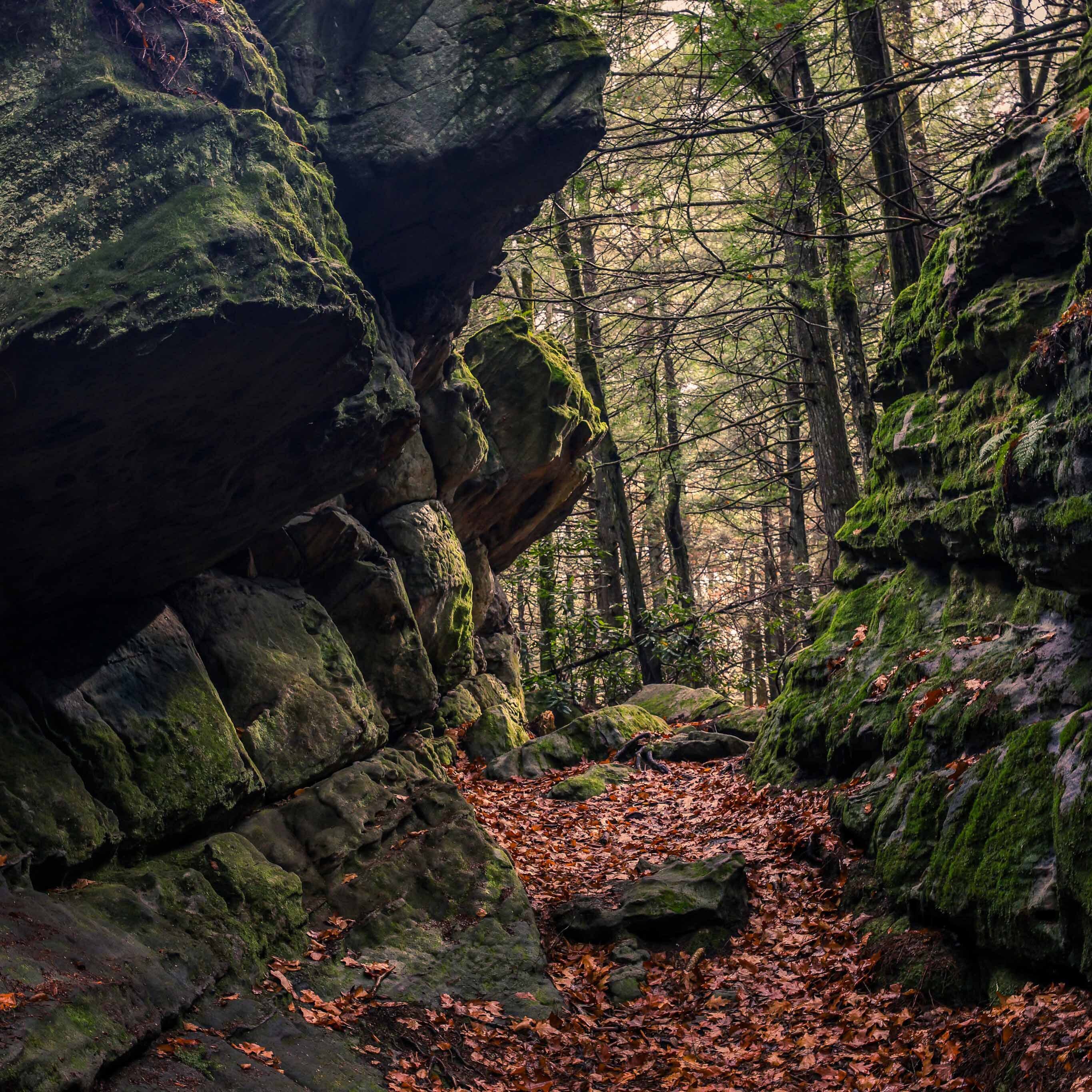 Bilgers rocks 01 sq