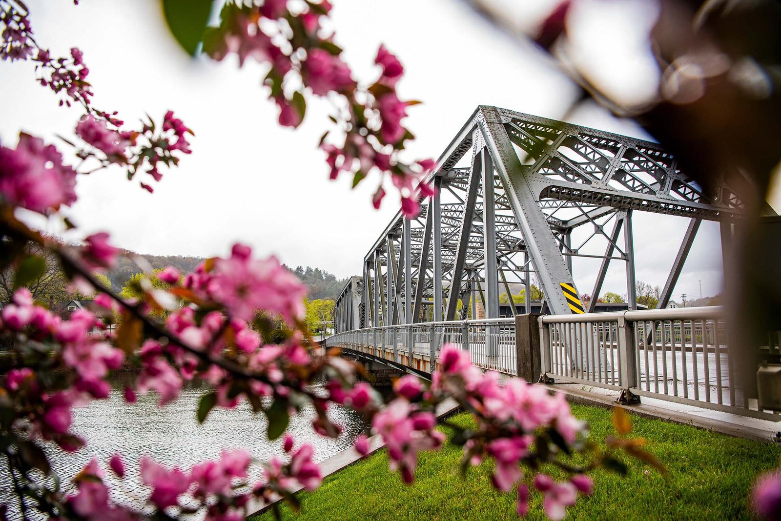 Blossoms bridge
