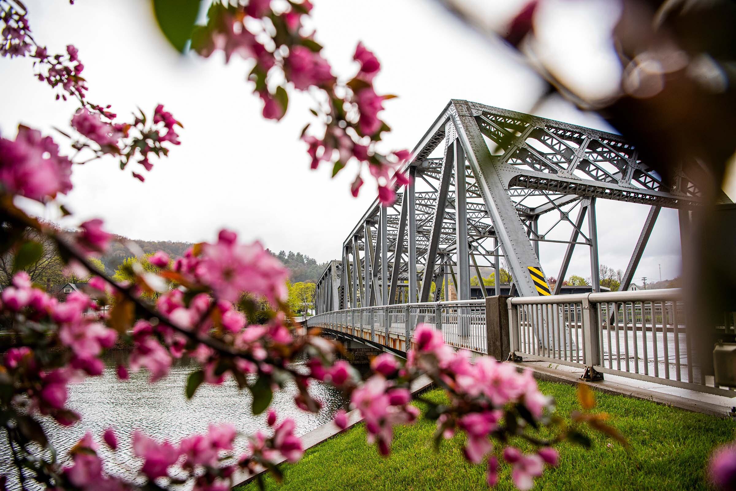 Blossoms bridge