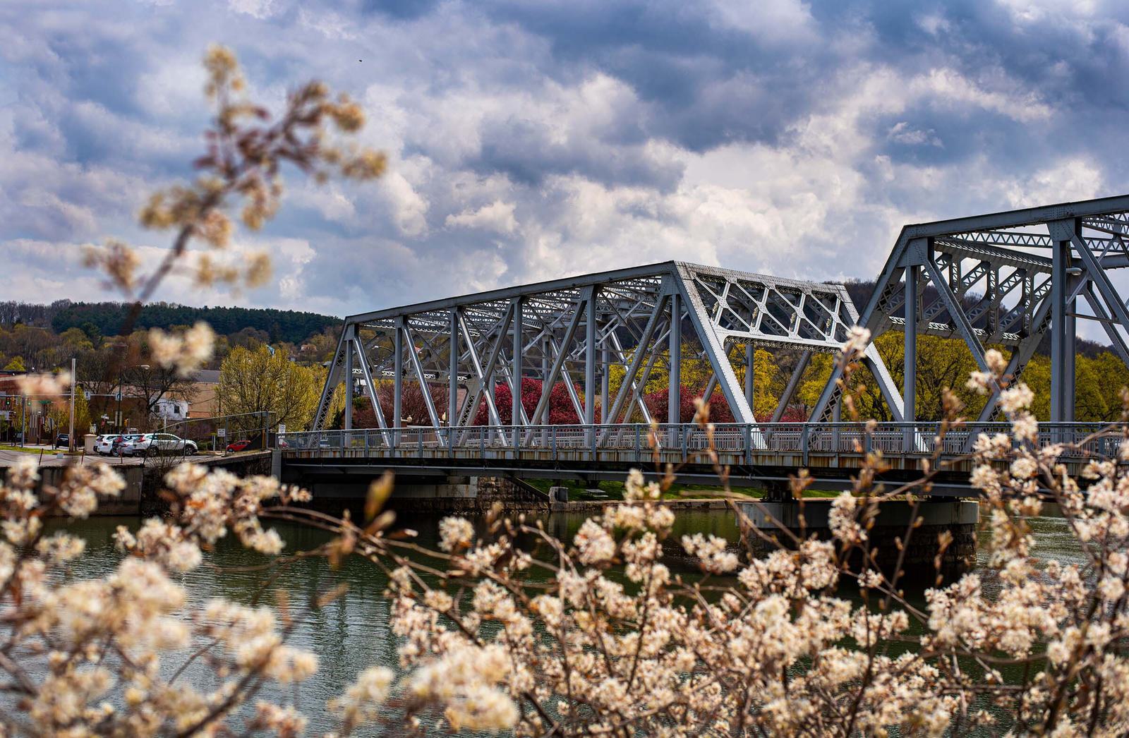 Bridge flowers