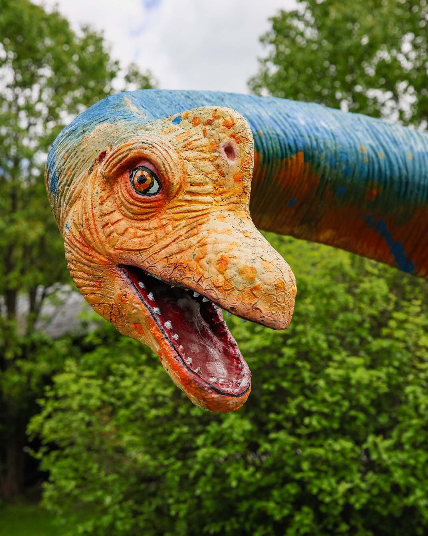 Dino 01