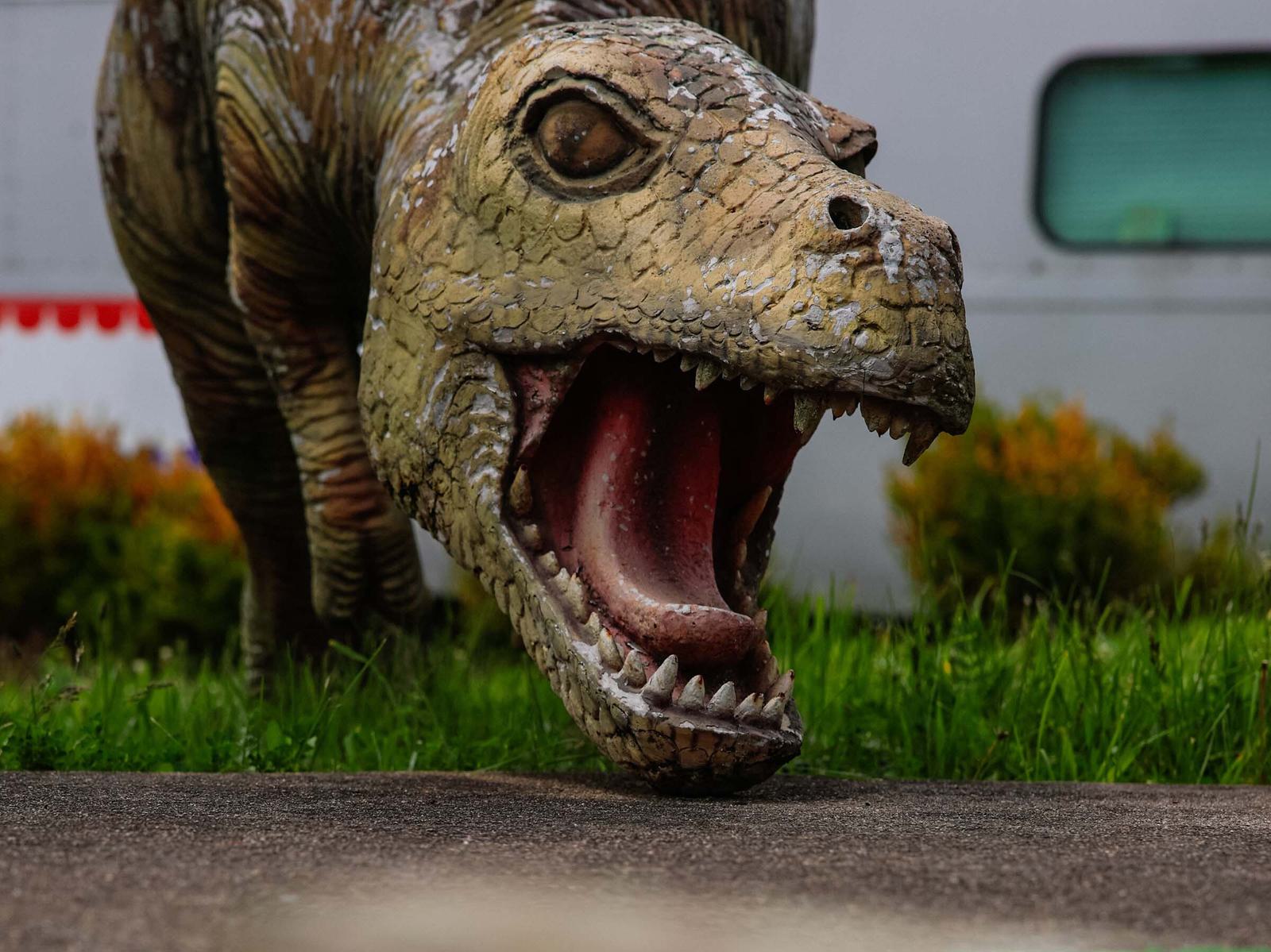 Dinosaur 02