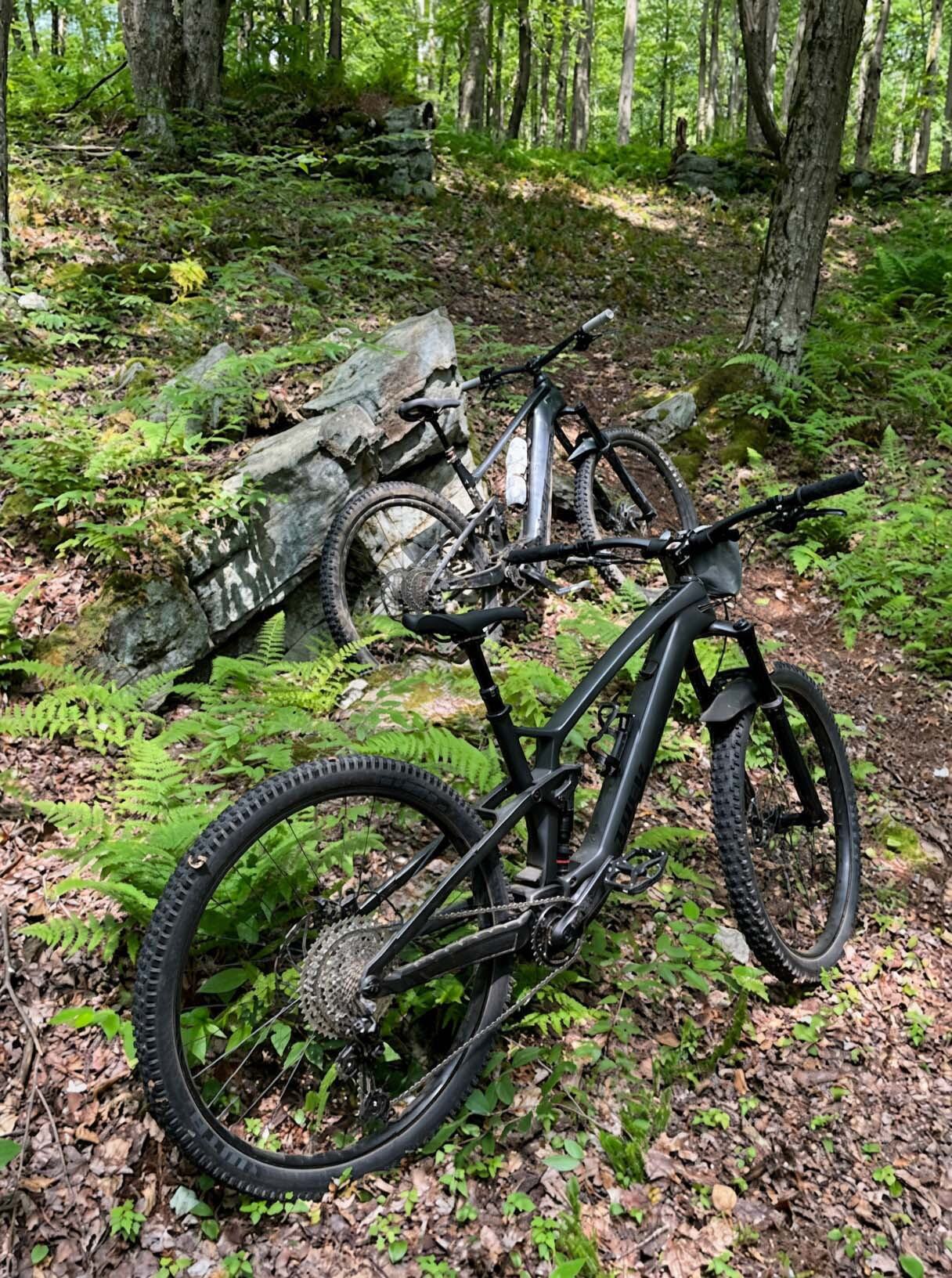 Mtb trail bikes