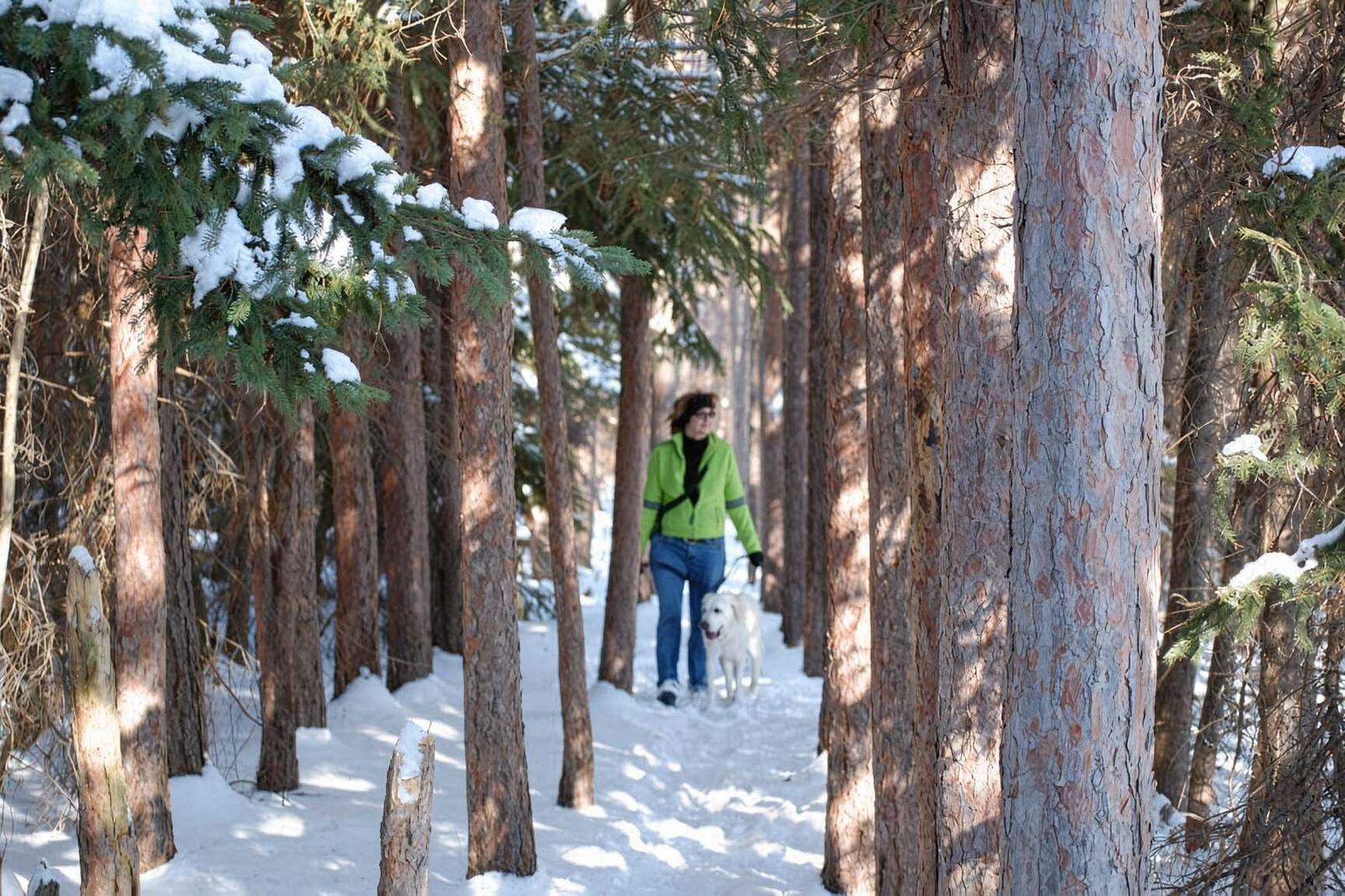 Winter walking